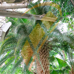 Volcano VR3 EC / Волкано РУ3 ЕС тепловентилятор водяной, арт. 1-4-0101-0444 / 6-0-0100-0444 / 6-0-0500-0444, цена ₽58398.98 (img.5)